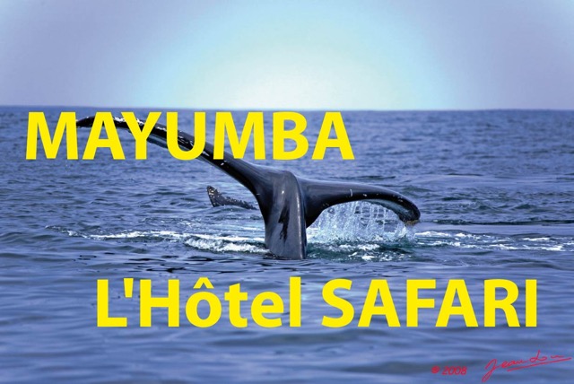 007 Titre Photos Mayumba Hotel Safari.jpg